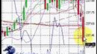 Fxknight forex